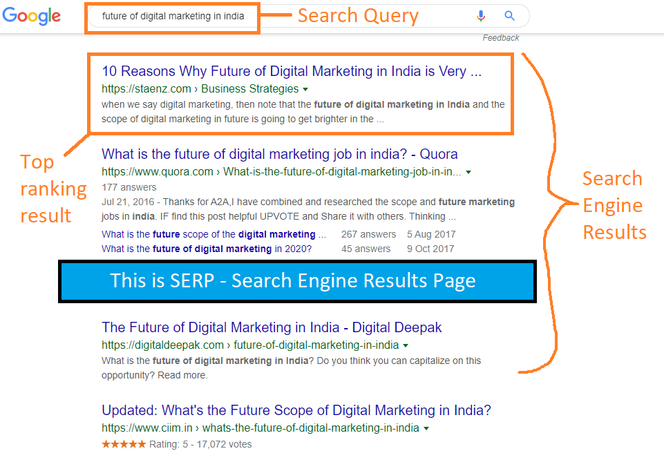 Understanding SERP to learn SEO